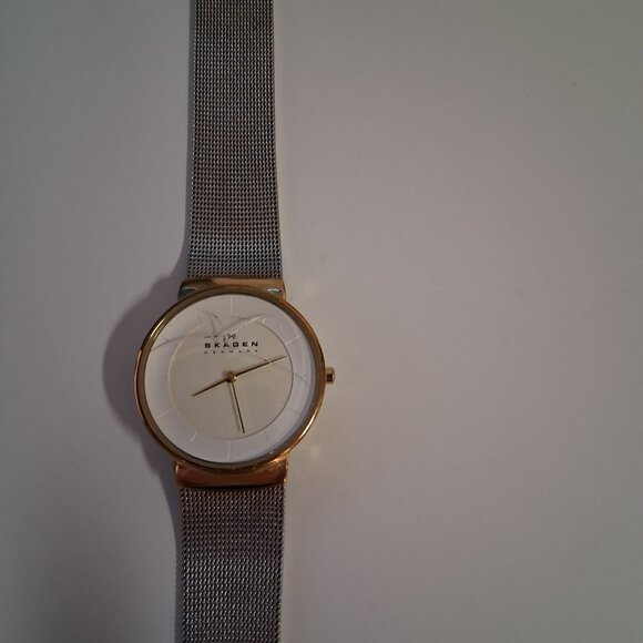 Skagen Women’s SKW2076 Stainless Steel Mesh Watch – 32mm White Dial main image 6